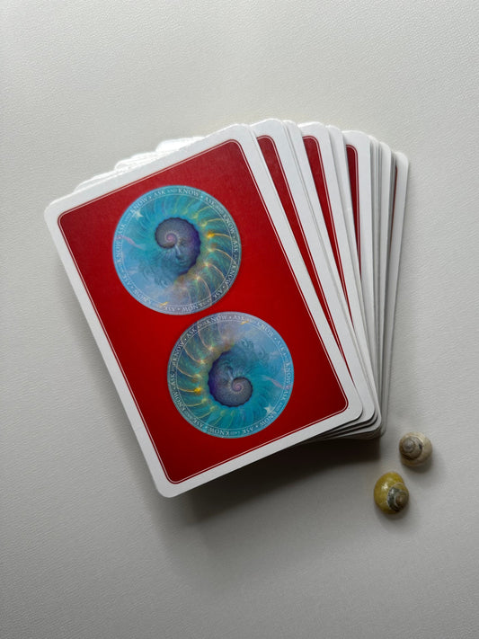 🪞 The Worth Expansion Short Tarot Reading 🌿
What Chiron in Taurus Is Revealing Before Your Next 6-Year Chapter Begins